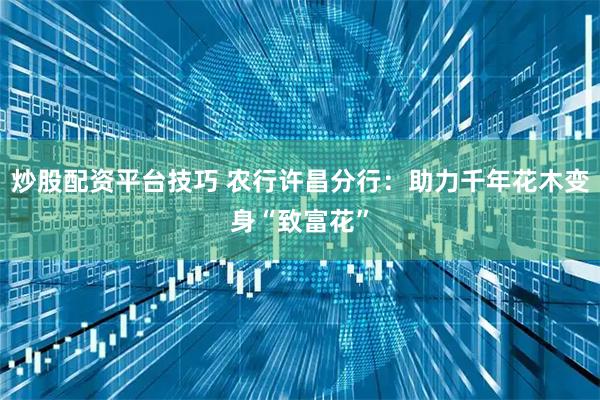 炒股配资平台技巧 农行许昌分行：助力千年花木变身“致富花”